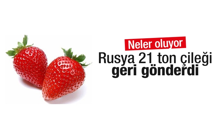 Rusya, Türkiye’den gönderilen 21 ton çileği geri çevirdi