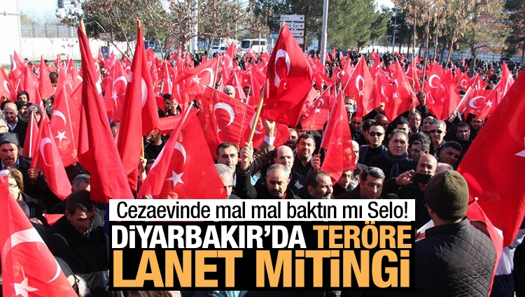 Diyarbakır'da teröre karşı yürüyüş