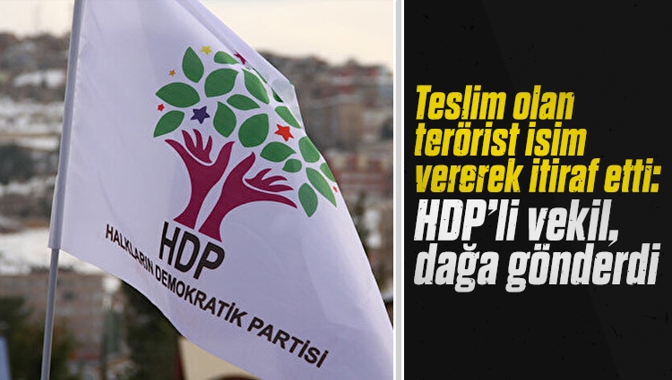 Teslim olan terörist isim vererek itiraf etti: HDP'li vekil, dağa gönderdi