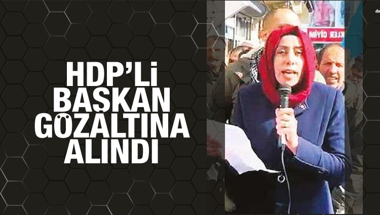 HDP'li Göksu gözaltına alındı