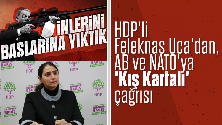HDP'li Feleknas Uca Türkiye'yi AB ve NATO'ya şikayet etti: Mehmetçik'in terör örgütü PKK'ya karşı başlattığı 'Kış Kartalı' operasyonunu soykırıma benzetti