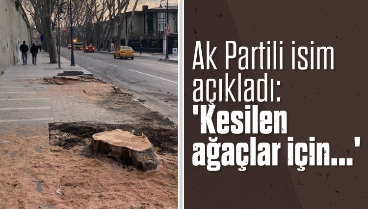 AK Partili Cahit Altunay: Kesilen ağaçlar için İBB'ye para cezası verildi