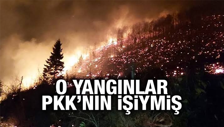 Karadenizdeki yangınları PKK üstlendi Bakanlıktan açıklama geldi