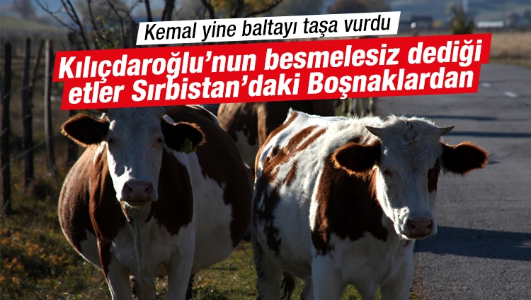 Türkiye'ye et ihracatı Sırbistan'daki Boşnaklardan