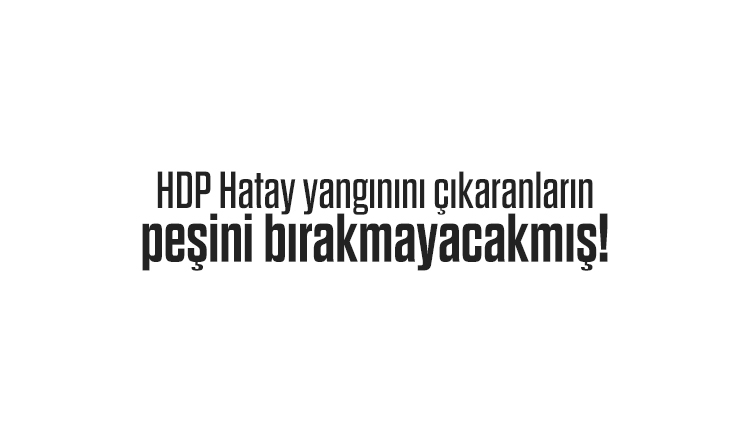 HDP: Heyetimiz Hatay'da incelemelerde bulunuyor, bu yangınları çıkaranların peşini bırakmayacağız