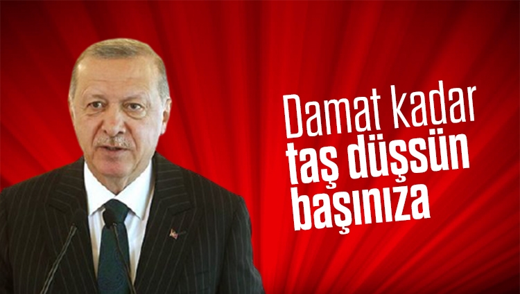 Cumhurbaşkanı Erdoğan: Damat kadar taş düşsün başınıza