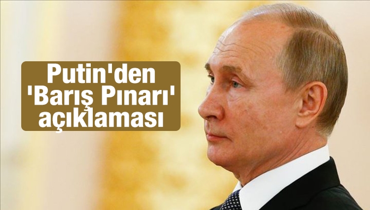 Putin'den 'Barış Pınarı' açıklaması