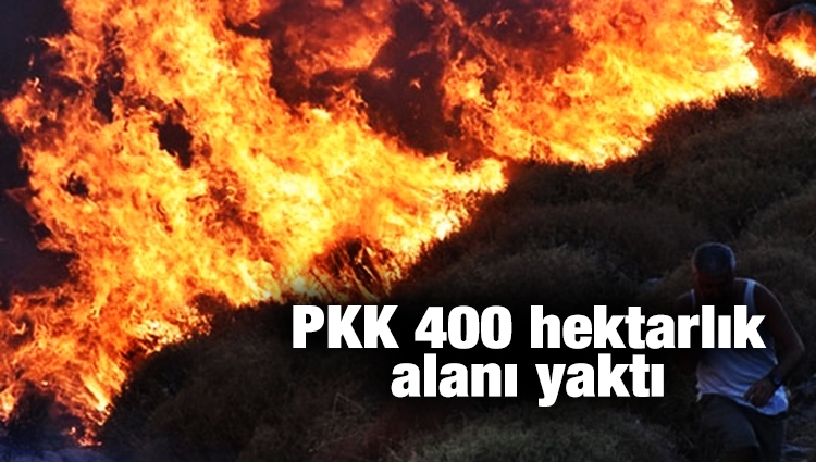 ODTÜ'yü savunanlar Muğla'ya sessiz! PKK 400 hektarlık alanı yaktı
