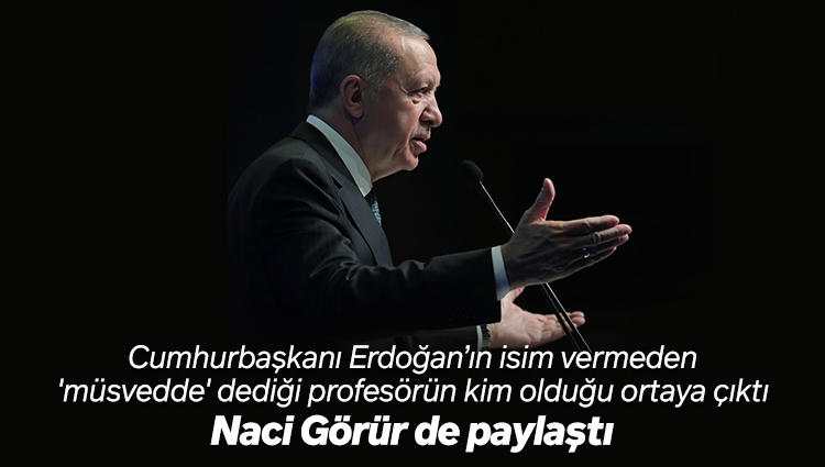 Cumhurbaşkanı Erdoğan'ın "müsvedde" dediği profesörün Ersan Şen olduğu ortaya çıktı