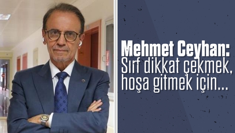 Prof. Dr. Mehmet Ceyhan'dan 'Bu iş bitti' mesajı veren akademisyenlere tepki