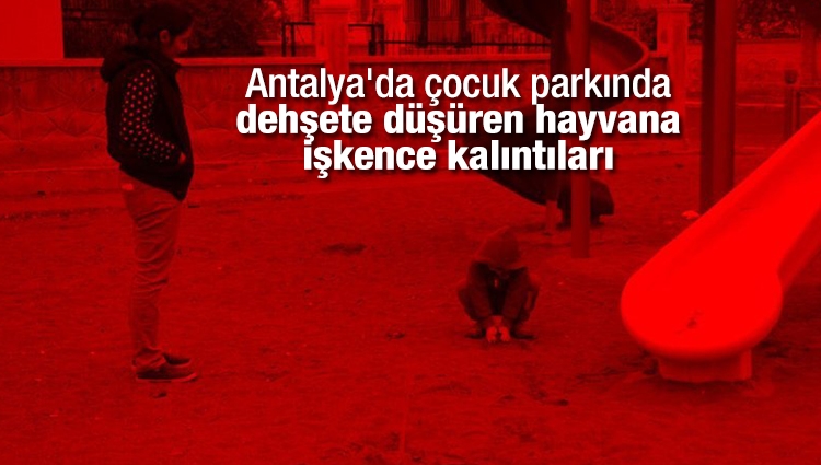 Antalya'da çocuk parkında dehşete düşüren hayvana işkence kalıntıları
