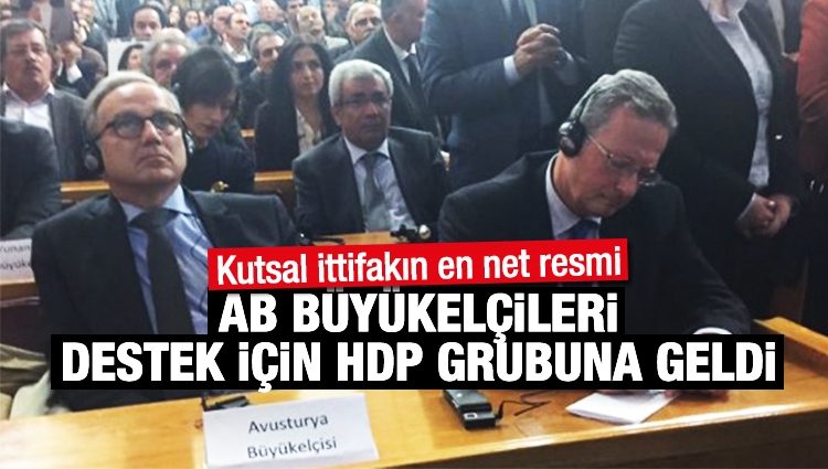  AB Büyükelçileri HDP Grubu'nda! 
