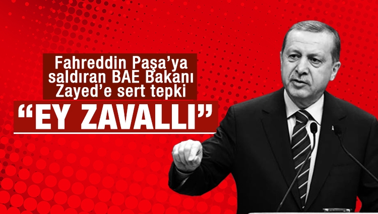 Cumhurbaşkanı Erdoğan'dan BAE Bakanı'na tepki