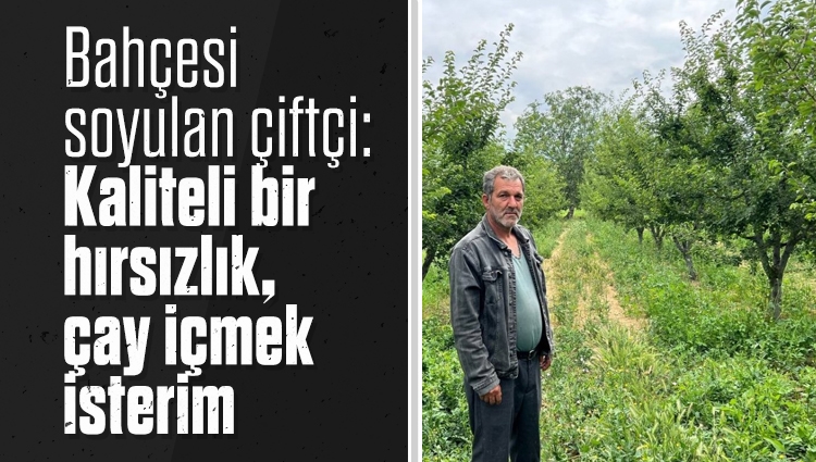 Bursa'da bahçesi soyulan çiftçi: Kaliteli bir hırsızlık, çay içmek isterim
