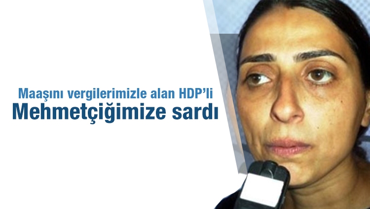 HDP'li Feleknas Uca Mehmetçik'e dil uzattı