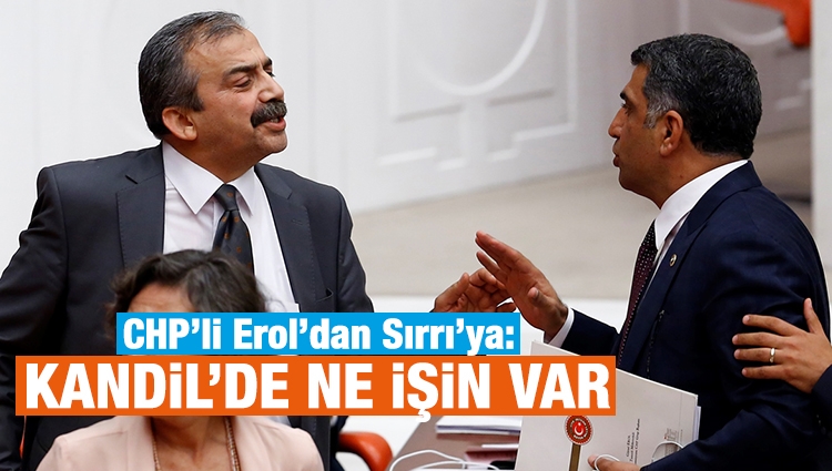 CHP'li Gürsel Erol'dan HDP'li Sırrı Süreyya Önder'e Kandil yanıtı