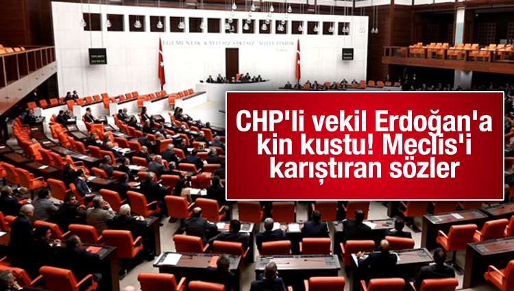 CHP'li vekil Erdoğan'a kin kustu! Meclis'i karıştıran sözler