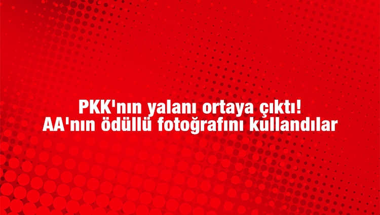PKK'nın yalanı ortaya çıktı! AA'nın ödüllü fotoğrafını kullandılar