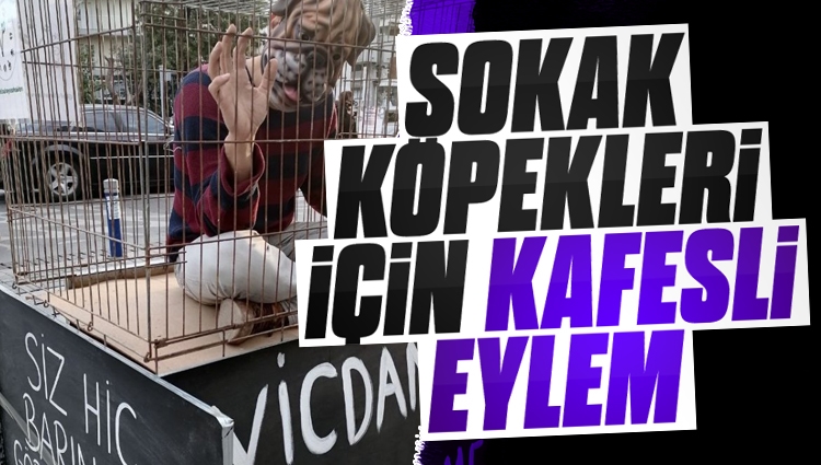 İzmir'de sokak köpekleri için kafesli eylem