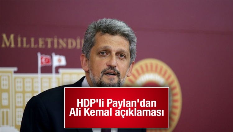 HDP'li Paylan'dan Ali Kemal açıklaması