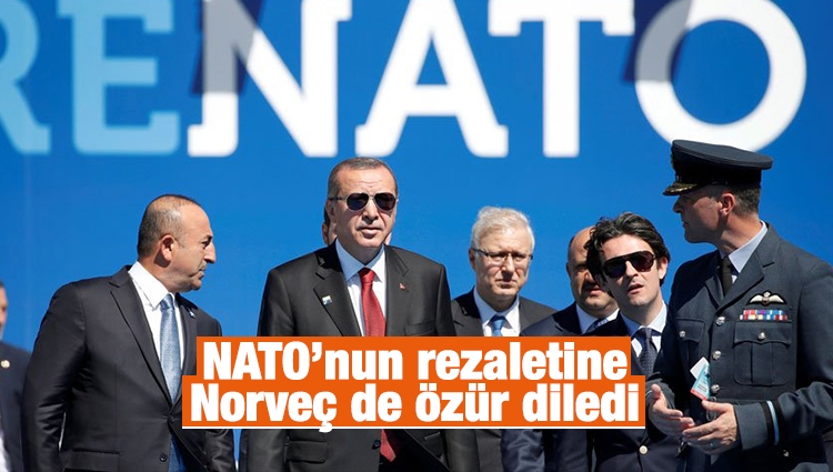 NATO’nun rezaletine Norveç de özür diledi