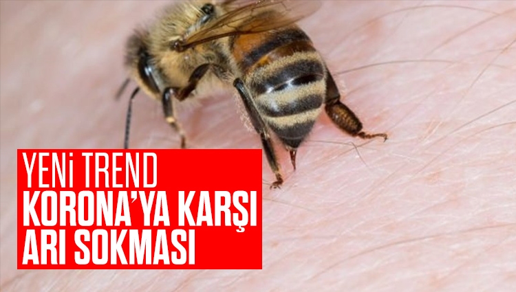 Malatya'da koronavirüse karşı kendilerini bal arılarına ısırttırıyorlar