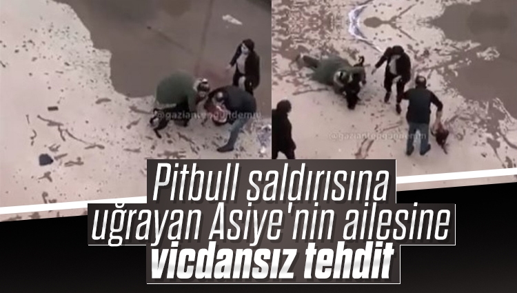 Gaziantep'te pitbull saldırısına uğrayan Asiye'nin ailesi: Davacı olmayalım diye önce siteden atmakla tehdit ettiler sonra para teklif ettiler