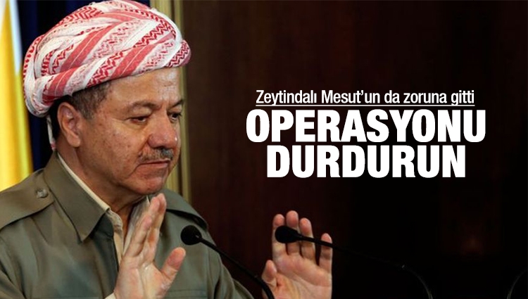 Barzani Afrin operasyonunun durdurulmasını istedi