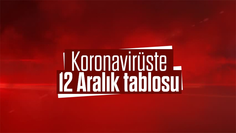 12 Aralık Türkiye'de umut veren koronavirüs tablosu