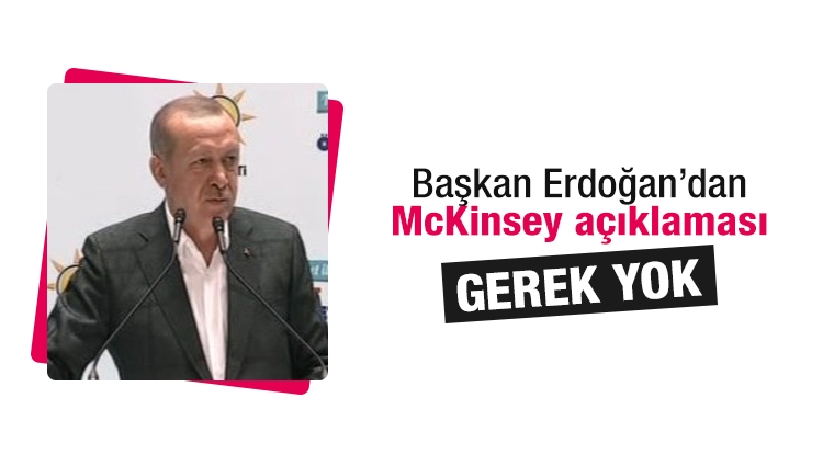 Başkan Erdoğan, McKinsey tartışmalarını noktaladı