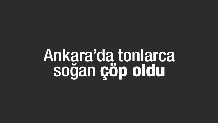 Ankara'da boş bir alana tonlarca çürümüş soğan döküldü