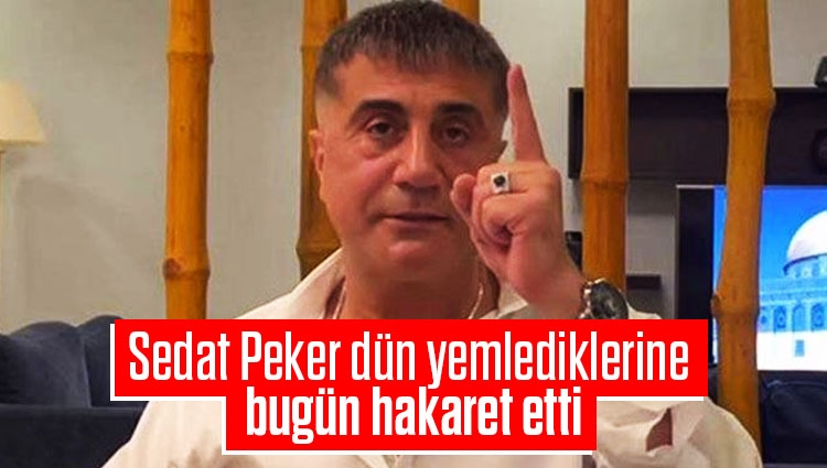 Sedat Peker dün yemlediklerine bugün hakaret etti