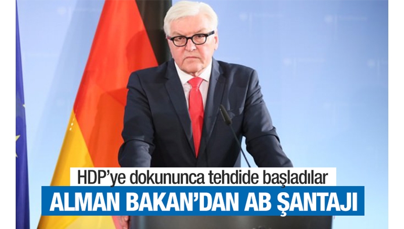 Alman Dışişleri Bakanı'ndan HDP açıklaması