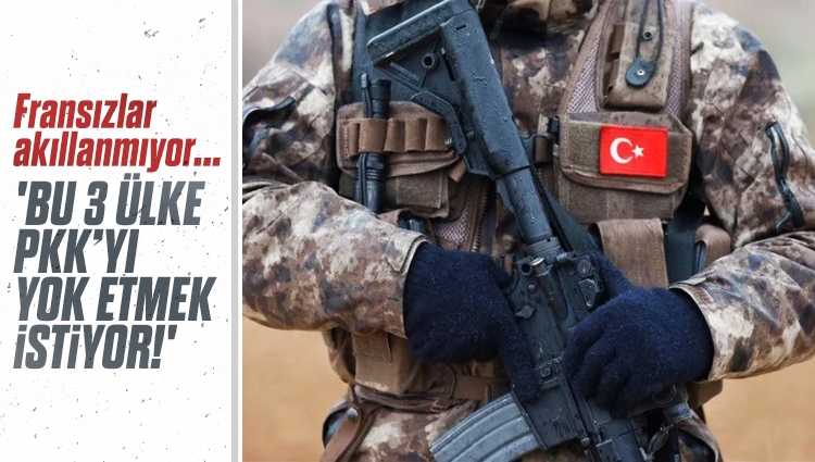 AFP: Türkiye, Rusya ve Suriye, SDG'yi yok etmek istiyor