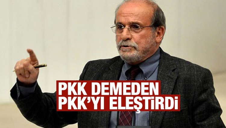 HDP'li Ertuğrul Kürkçü'den PKK'ya tepki !..