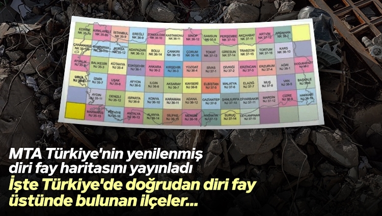 Türkiye'nin yenilenmiş diri fay haritası