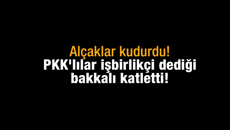 Alçaklar kudurdu! PKK'lılar işbirlikçi dediği bakkalı katletti!