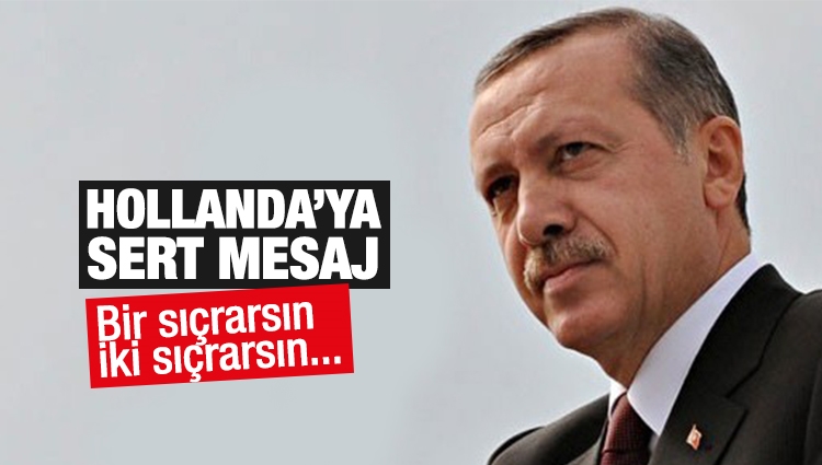 Erdoğan'dan Çavuşoğlu'na Hollanda engeline ilk yorum