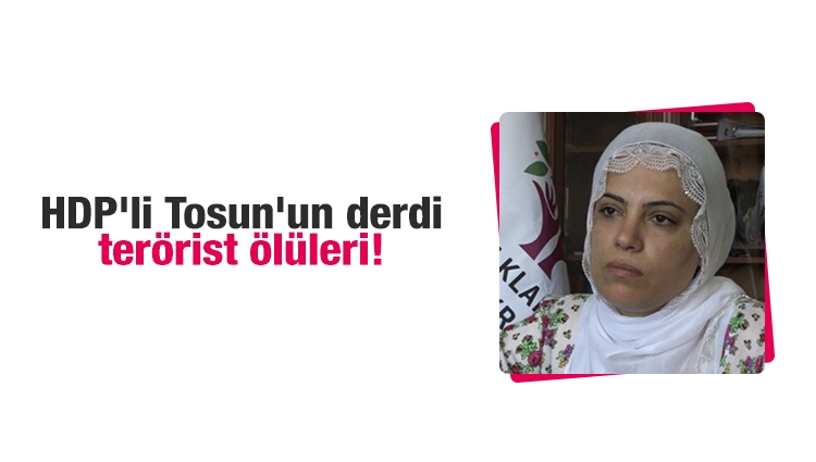 HDP'li Remziye Tosun'un derdi terörist ölüleri!