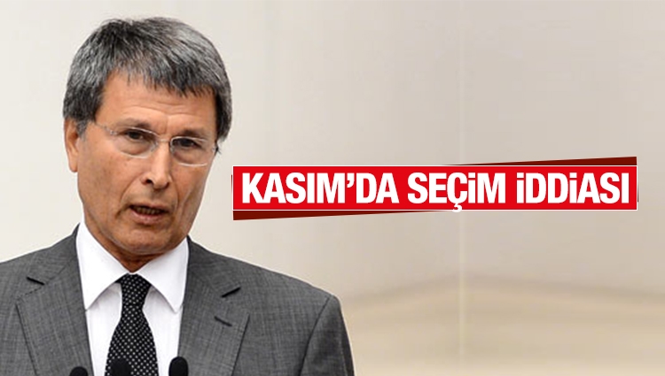 MHP'li Halaçoğlu: Kasımda muhtemelen seçim var 