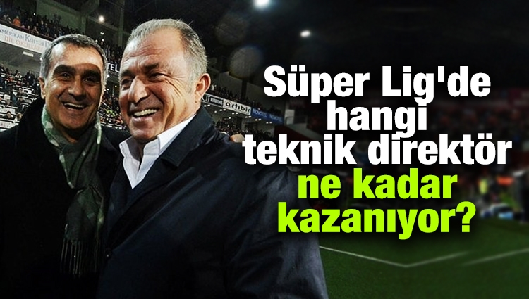 Süper Lig'de hangi teknik direktör ne kadar kazanıyor?
