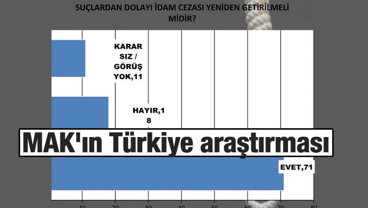 MAK'ın Türkiye araştırması