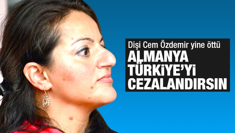 Sevim Dağdelen'in 'Türkiye'yi cezalandırın' çağrısı