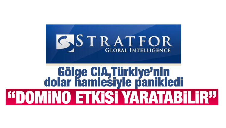 Stratfor: Erdoğan'ın küresel sistemi değiştiriyor! Dolar hamlesi domino etkisi yaparsa...