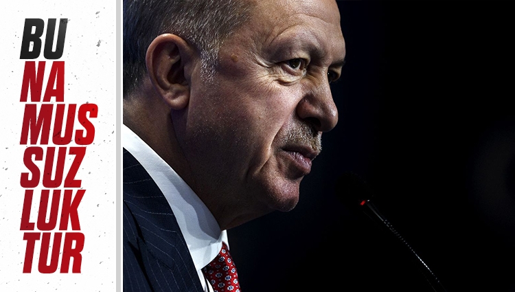 Cumhurbaşkanı Erdoğan, kimyasal silah iddialarıyla ilgili konuştu
