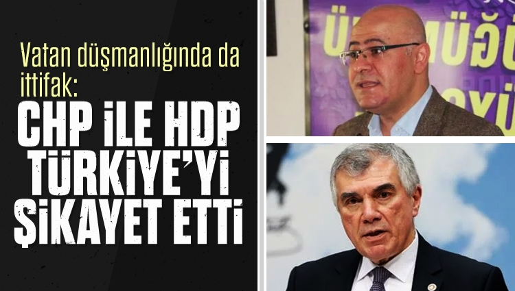 Vatan düşmanlığında da ittifak: CHP ile HDP Türkiye'yi Finlandiya medyasına şikayet etti