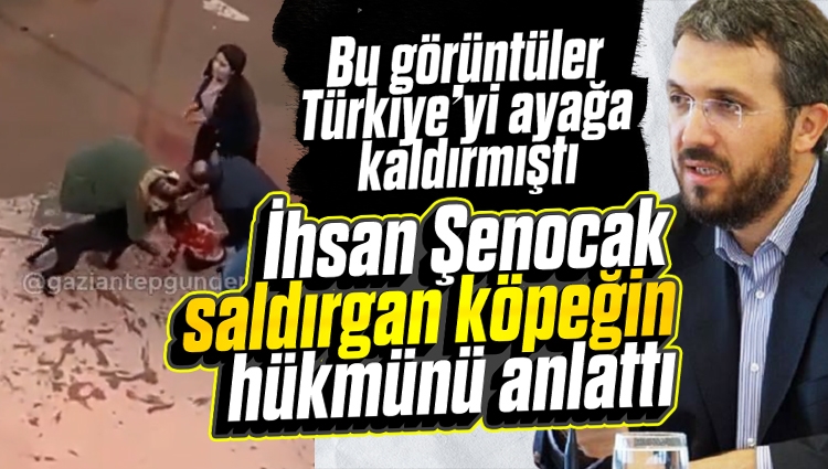 İhsan Şenocak: Saldırgan köpeği öldürmek vaciptir!