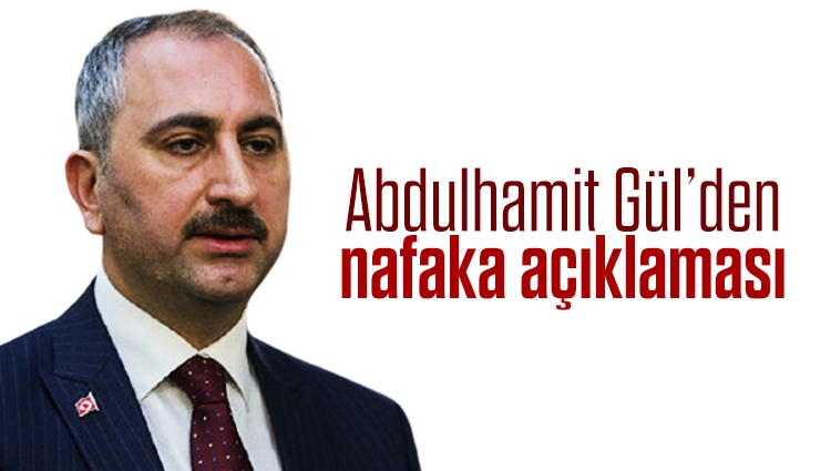 Abdulhamit Gül: Nafaka düzenlemesine Meclis karar verir