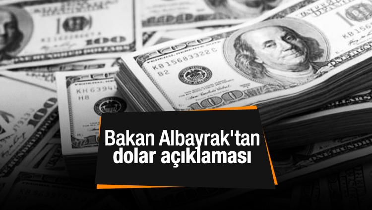 Bakan Albayrak'tan dolar açıklaması
