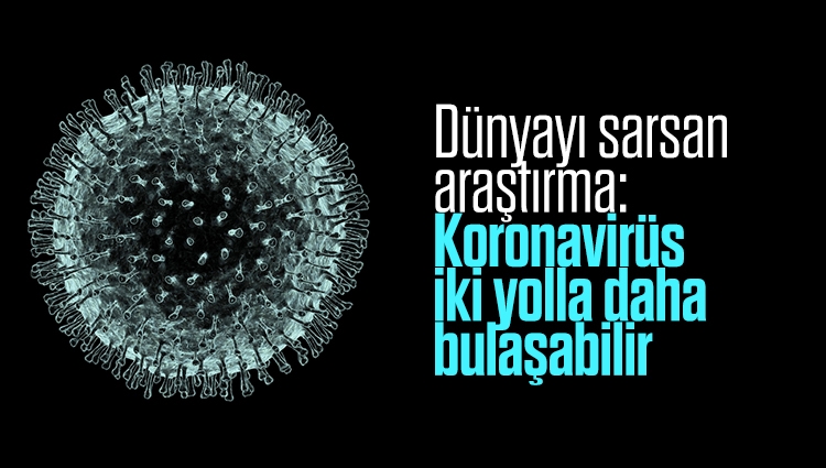 Dünyayı sarsan araştırma: Koronavirüs iki yolla daha bulaşabilir